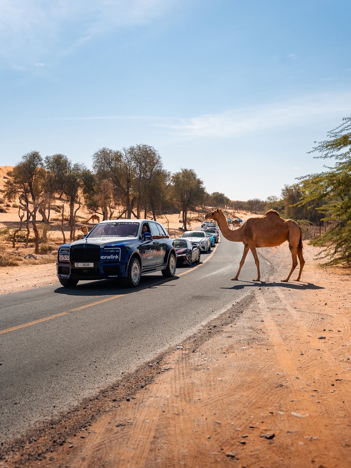 An Onelink Rolls-Royce leads the convoy, and the desert has other ideas.